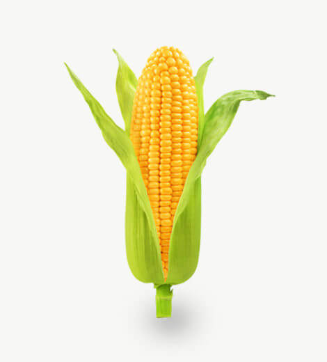 Image #1 from kangara holdings